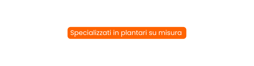 Specializzati in plantari su misura